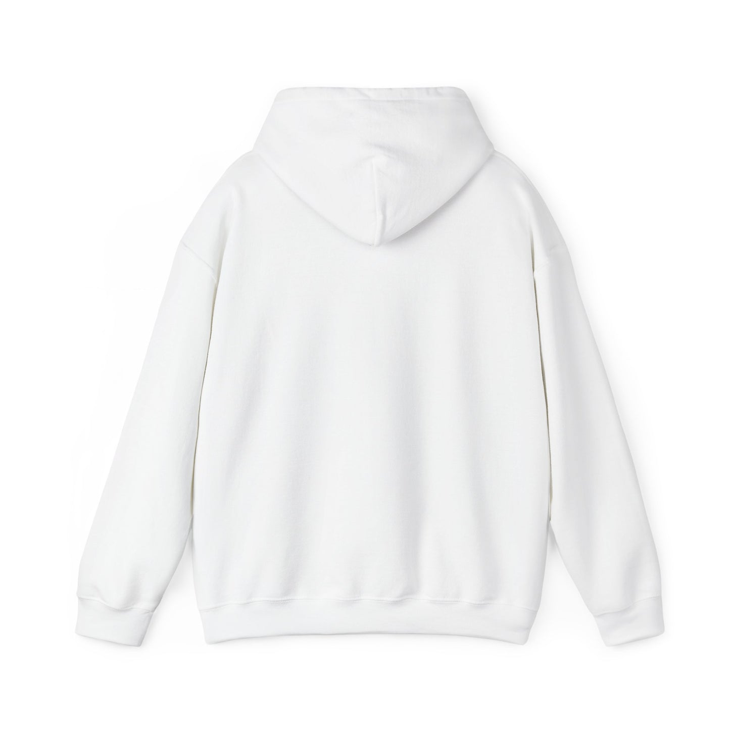 No Risk No Story Hoodie – MindSpark Motivational Streetwear