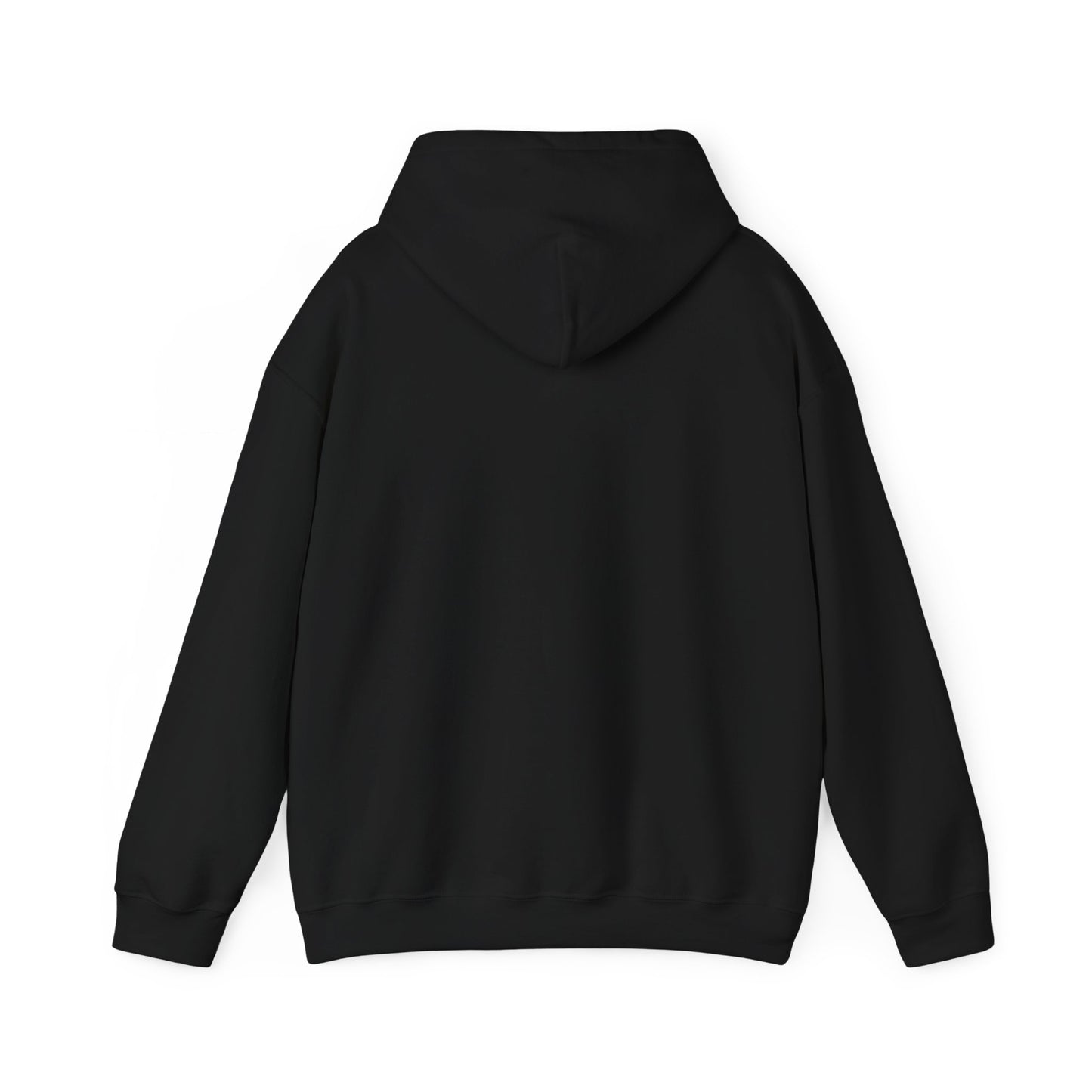 No Risk No Story Hoodie – MindSpark Motivational Streetwear