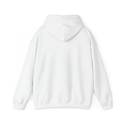 No Risk No Story Hoodie – MindSpark Motivational Streetwear